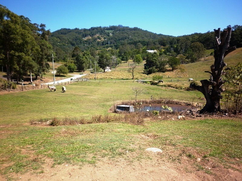 40 Macdonald Road, Palmwoods QLD 4555