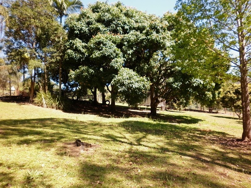 40 Macdonald Road, Palmwoods QLD 4555