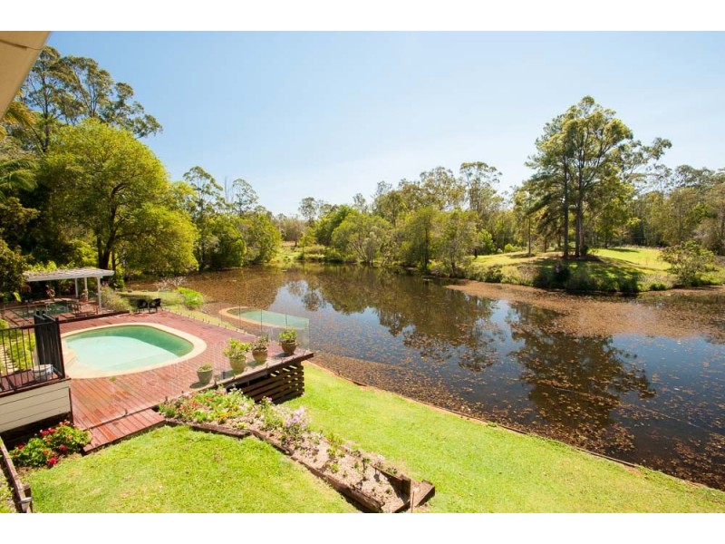 36 Roys Road, Palmwoods QLD 4555