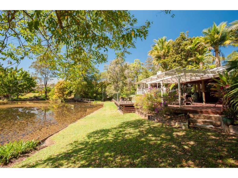 36 Roys Road, Palmwoods QLD 4555