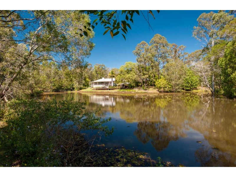 36 Roys Road, Palmwoods QLD 4555