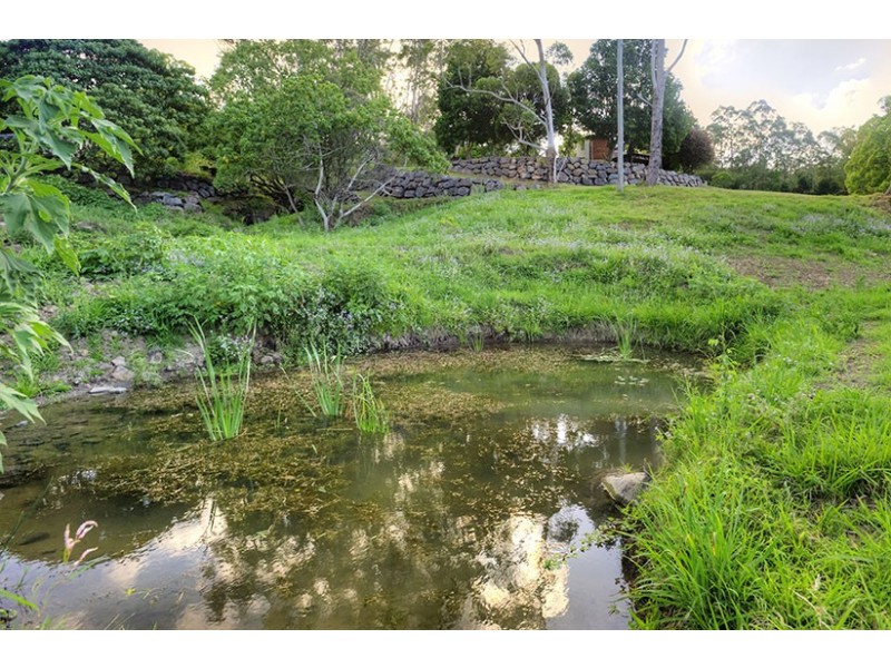 731 Hunchy Road, Palmwoods QLD 4555