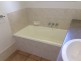 29 Primrose Court, Palmwoods QLD 4555