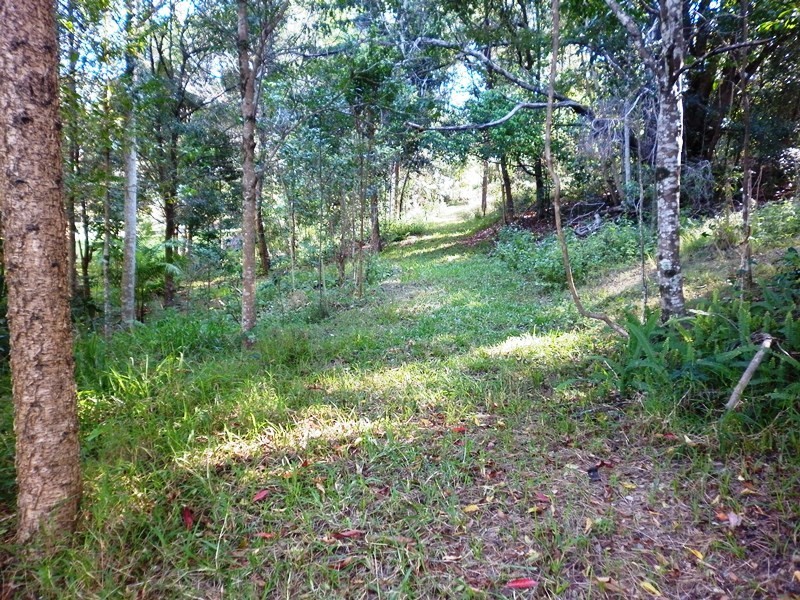 22-38 Simba Road, West Woombye QLD 4559