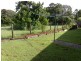 24 Starkey Street, Palmwoods QLD 4555