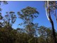 39 Wilson Road, Ilkley QLD 4554