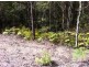 39 Wilson Road, Ilkley QLD 4554