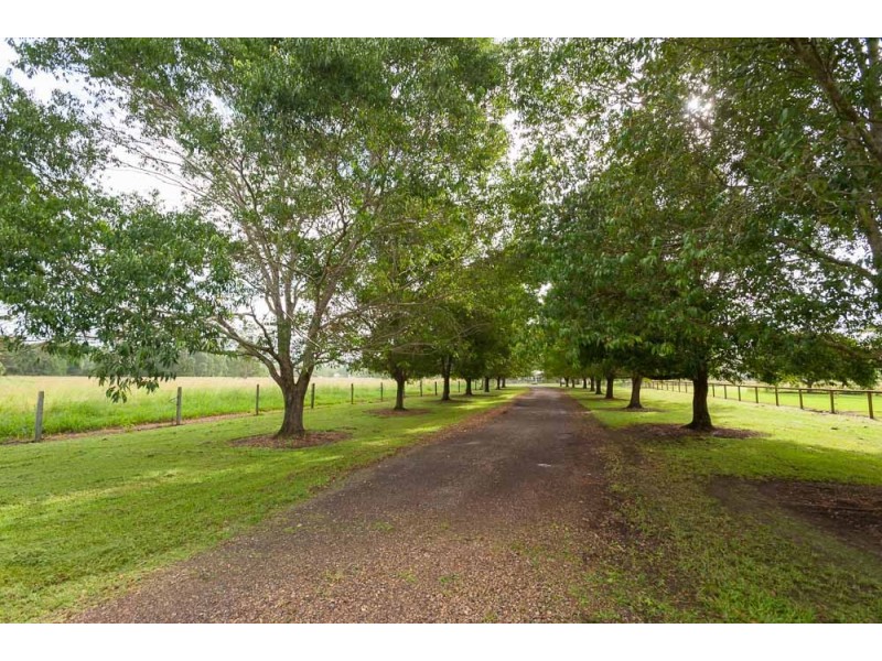 99 McGilchrists Road, Eudlo QLD 4554