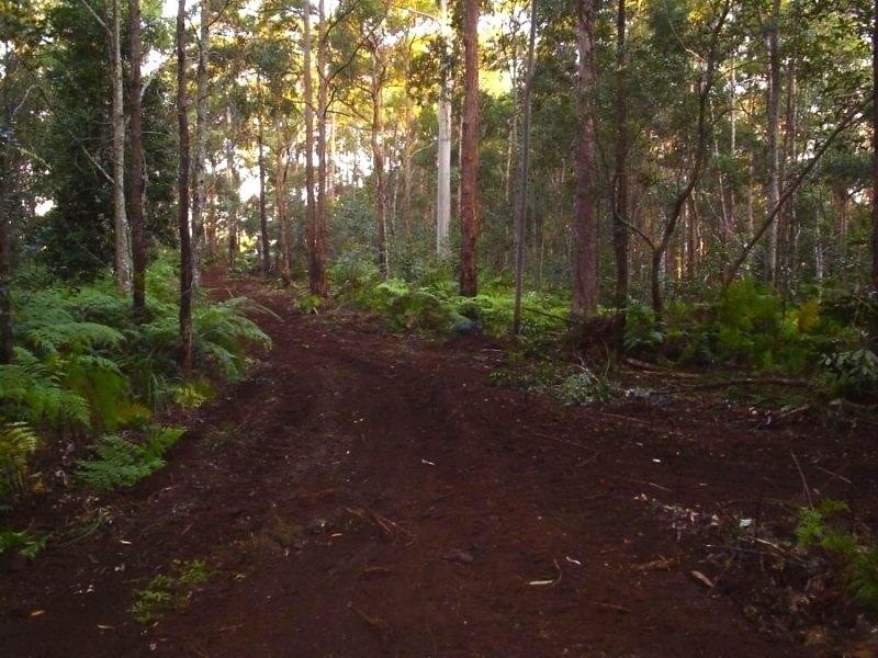 301 Harper Creek Road, Conondale QLD 4552