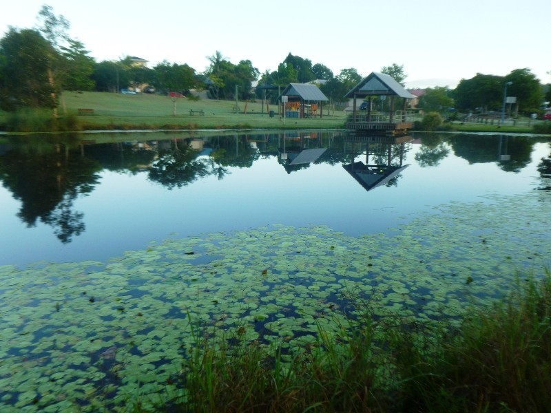 1 Red Jacket Court, Palmwoods QLD 4555