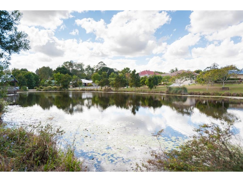 3 Parkwood Place, Palmwoods QLD 4555