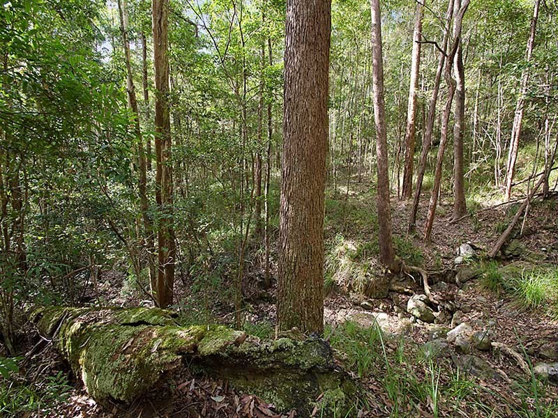 188 Chevallum School Road, Chevallum QLD 4555