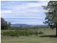 116 McKees Road, Palmwoods QLD 4555