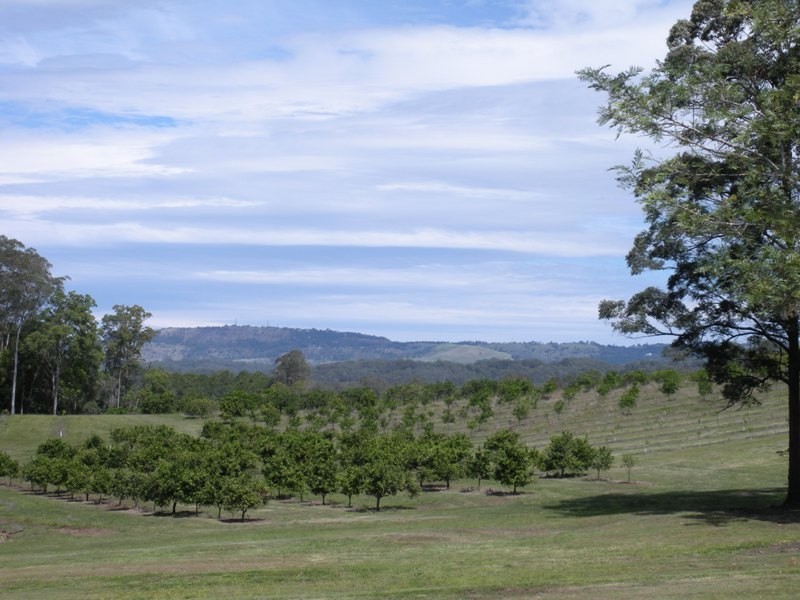 116 McKees Road, Palmwoods QLD 4555