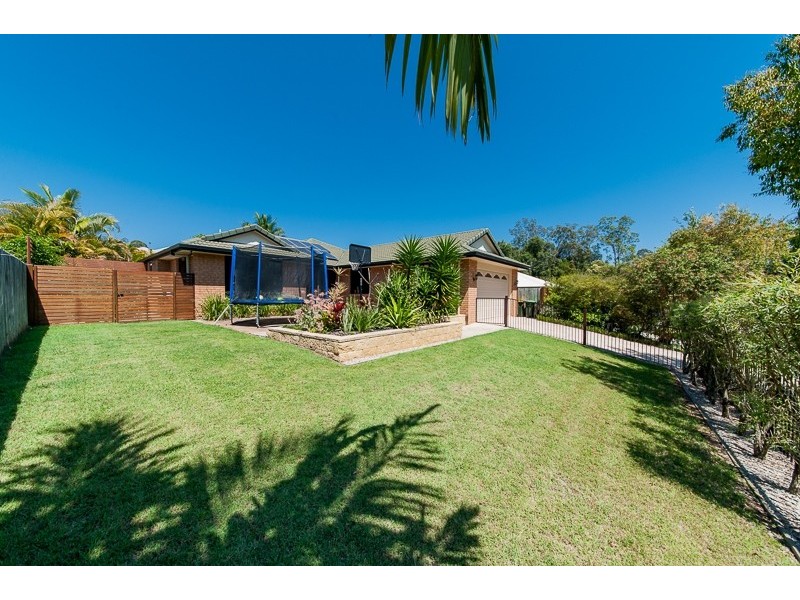 8 Yellow Cedar Place, Palmwoods QLD 4555