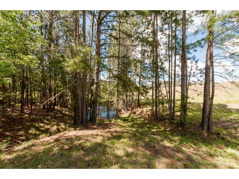 77 Hardings Road, Palmwoods QLD 4555