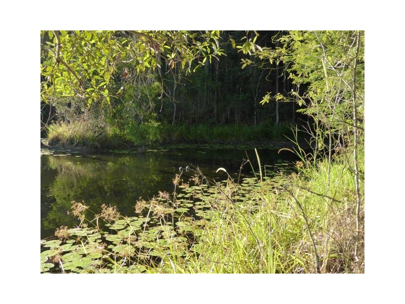 308 Hunchy Road, Hunchy QLD 4555