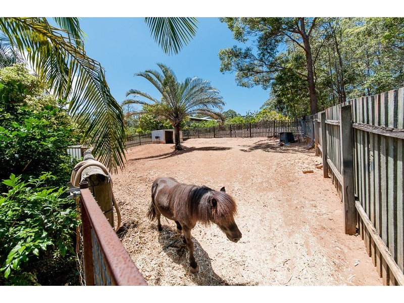 21 Colsak Close, Palmwoods QLD 4555