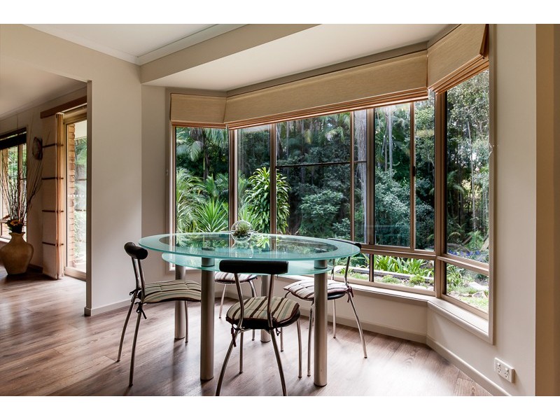 13 Cocas Avenue, Palmwoods QLD 4555