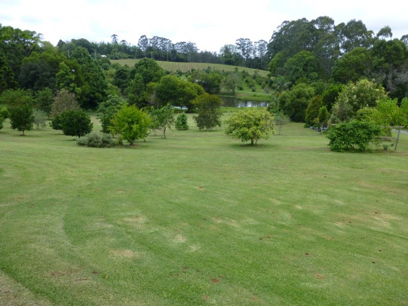21 Akala Street, Flaxton QLD 4560