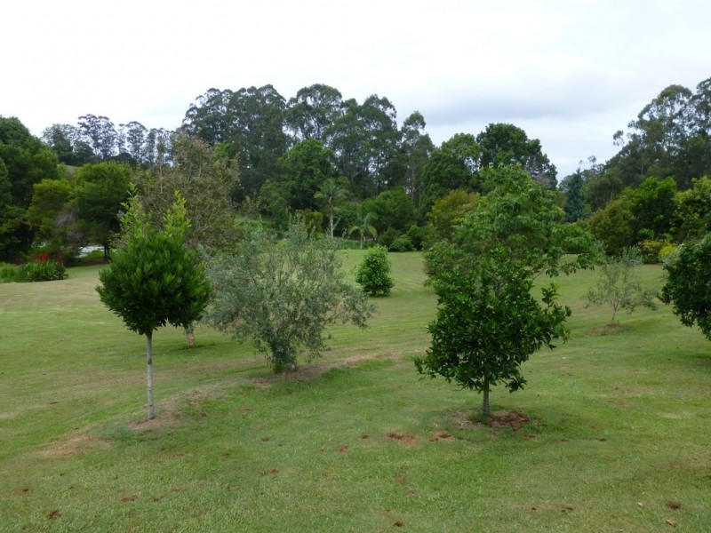 21 Akala Street, Flaxton QLD 4560