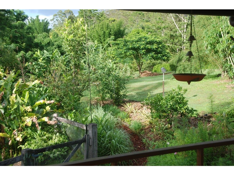31 Bamboo Road, Palmwoods QLD 4555