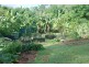 31 Bamboo Road, Palmwoods QLD 4555