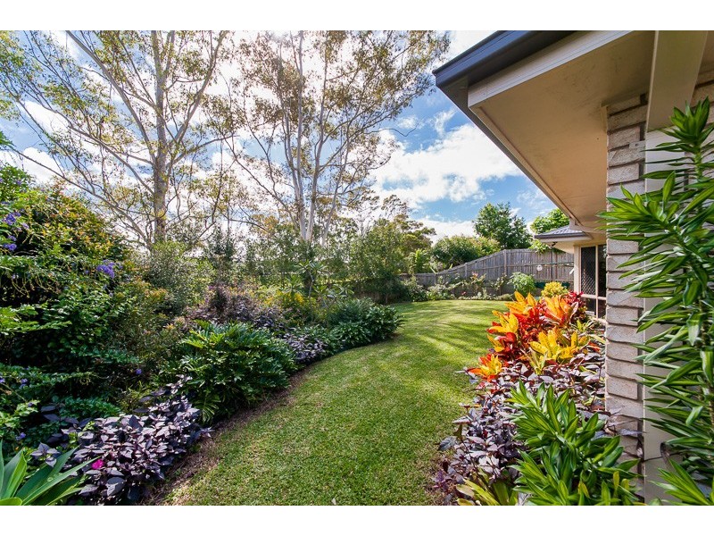 7 Bush Tree Court, Palmwoods QLD 4555