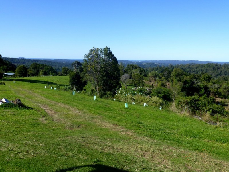 867 Hunchy Road, Hunchy QLD 4555