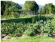 867 Hunchy Road, Hunchy QLD 4555
