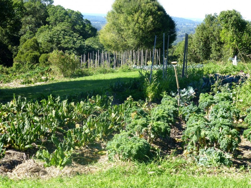 867 Hunchy Road, Hunchy QLD 4555