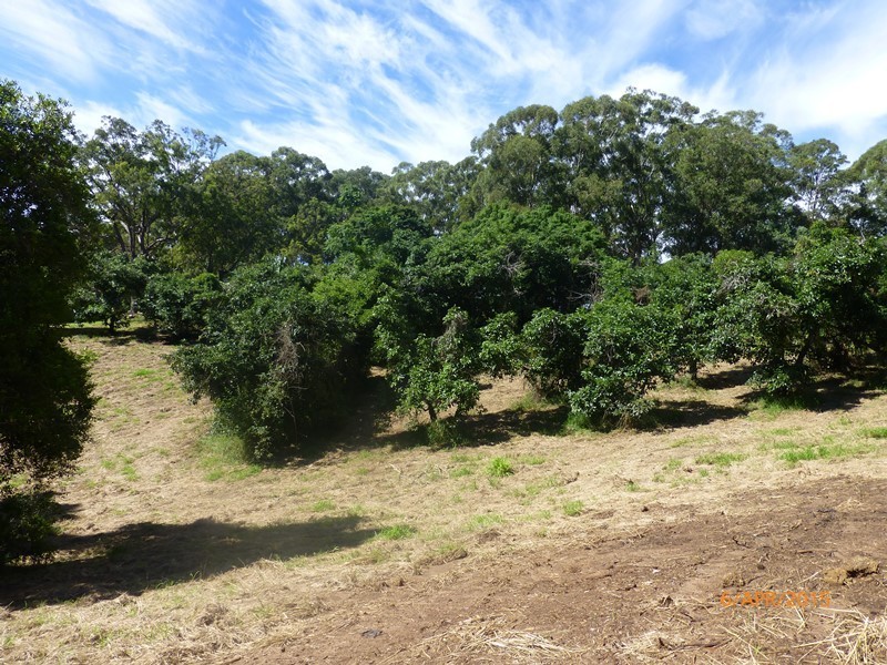 Lot 1 – 402 Upper Landershute Road, Palmwoods QLD 4555