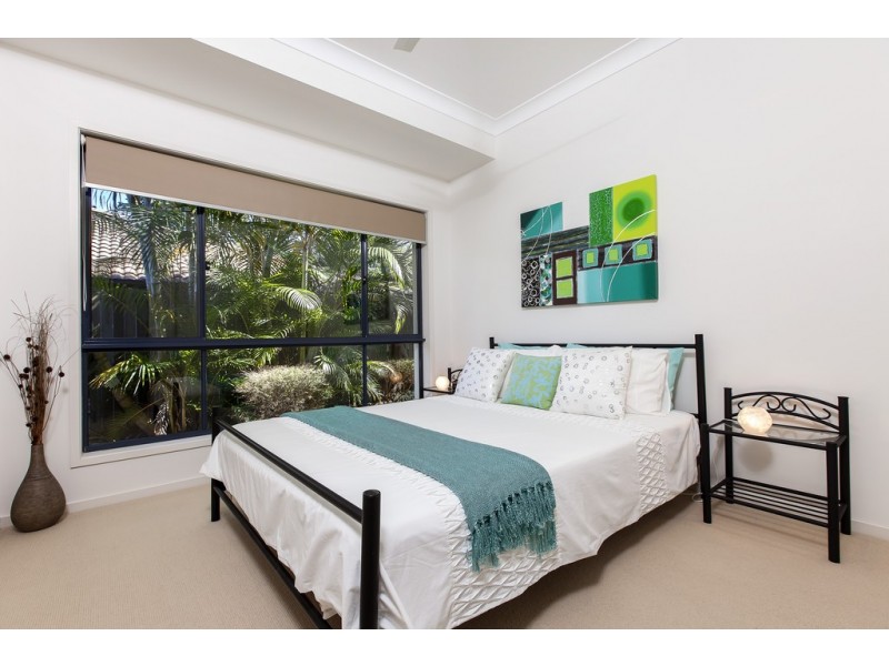 36 Rimmel Place, Palmwoods QLD 4555