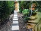 3 Rock Fig Court, Palmwoods QLD 4555