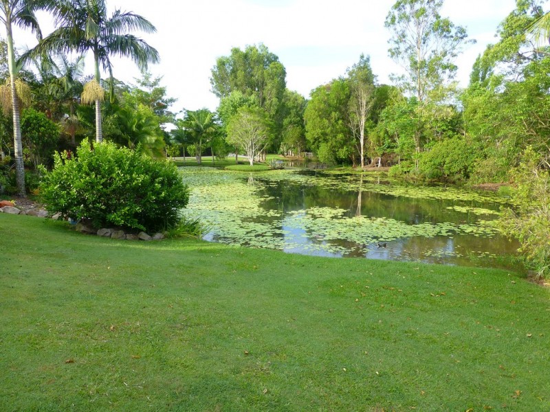 20 Rimmel Place, Palmwoods QLD 4555