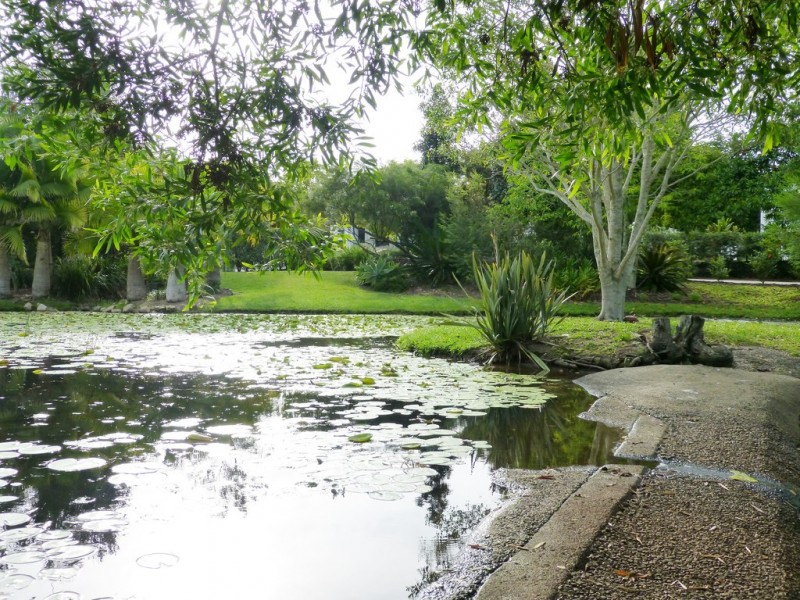 20 Rimmel Place, Palmwoods QLD 4555