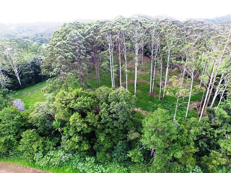 81 Pringle Road, Nambour QLD 4560