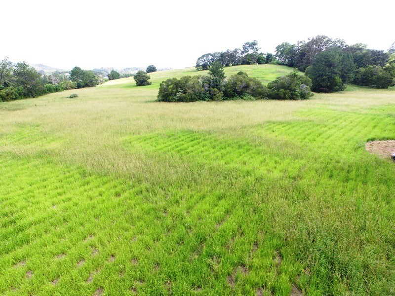 81 Pringle Road, Nambour QLD 4560