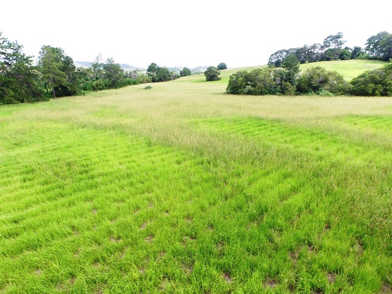 81 Pringle Road, Nambour QLD 4560