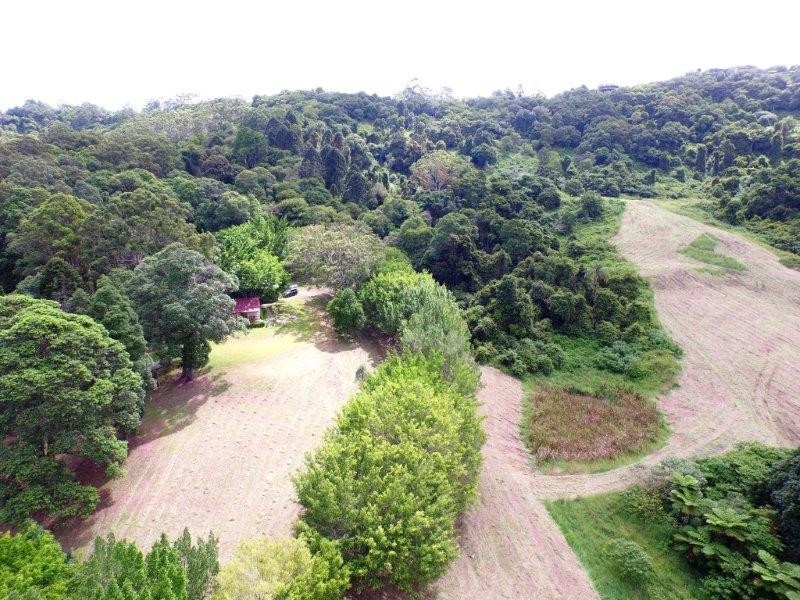 144 Kirbys Road, Montville QLD 4560