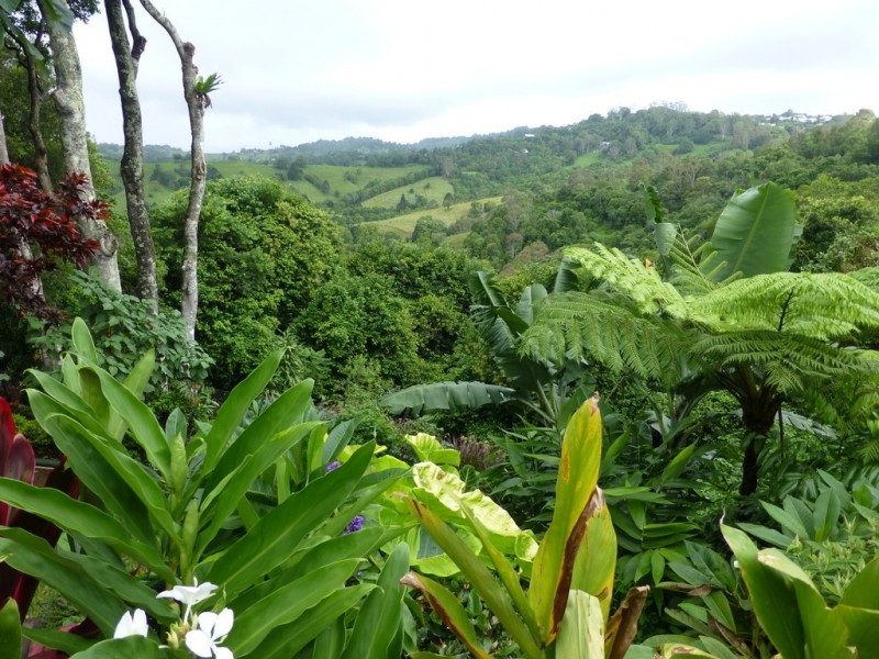 6 Maple Avenue, Mapleton QLD 4560