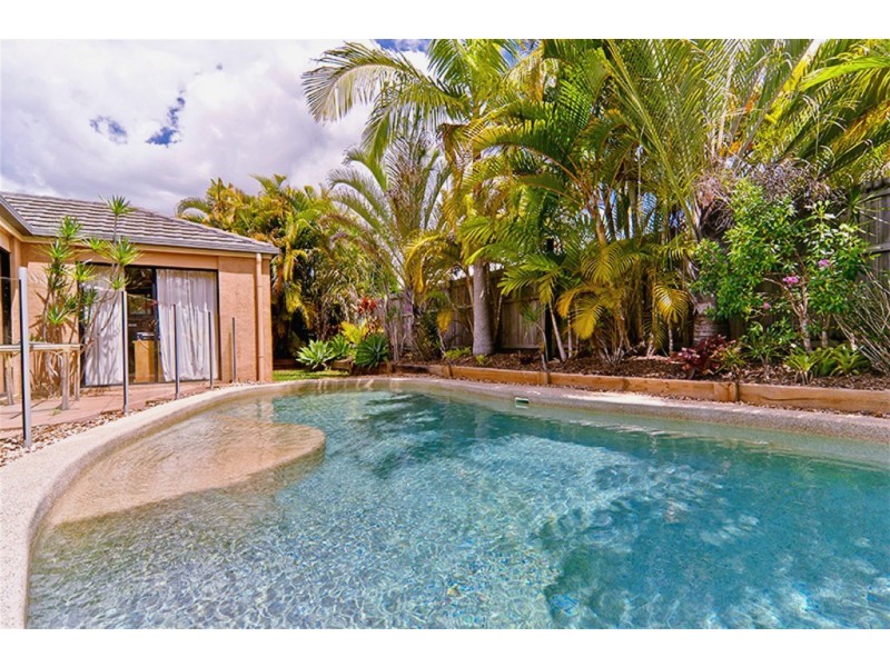 14 Petigrain Avenue, Palmwoods QLD 4555