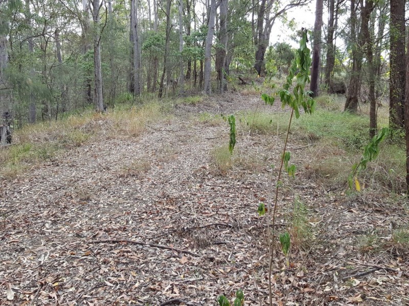 347 Palmwoods-Montville Rd, Palmwoods QLD 4555