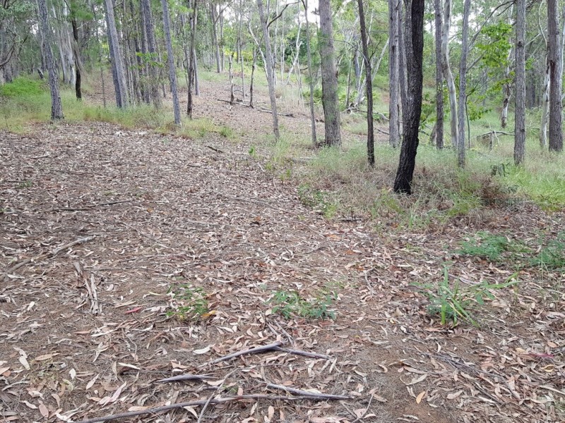 347 Palmwoods-Montville Rd, Palmwoods QLD 4555