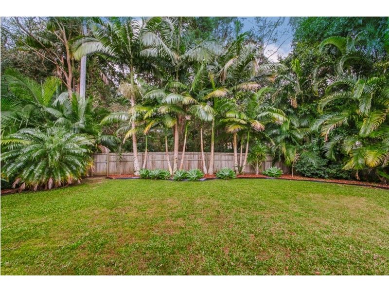 8 MERRIMAN COURT, Palmwoods QLD 4555