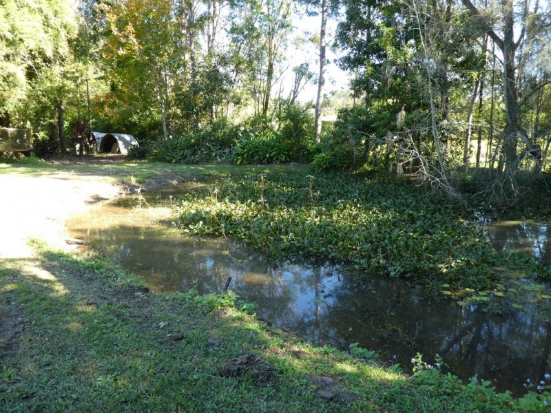 12 Mountaindale Court, Mooloolah Valley QLD 4553