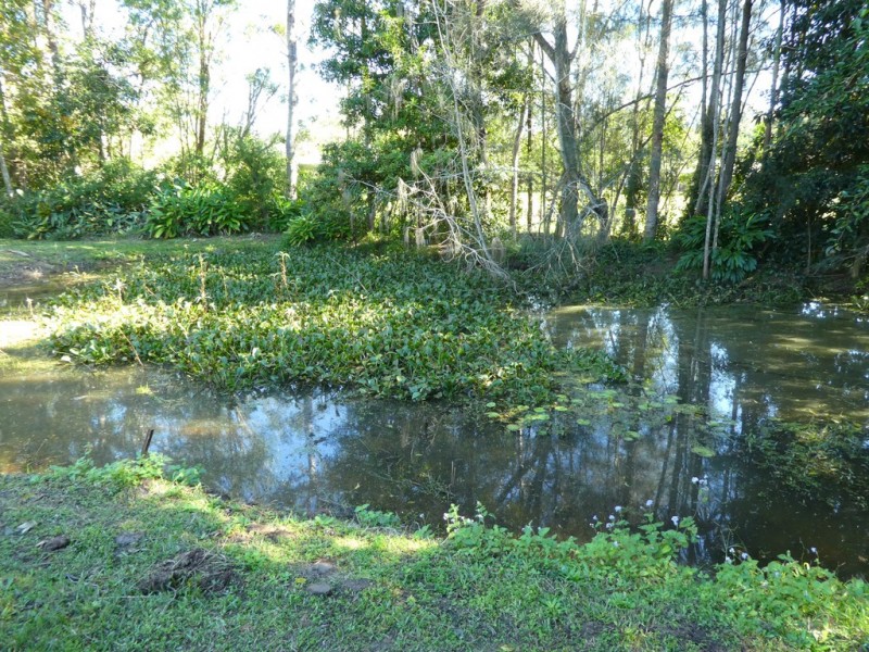 12 Mountaindale Court, Mooloolah Valley QLD 4553