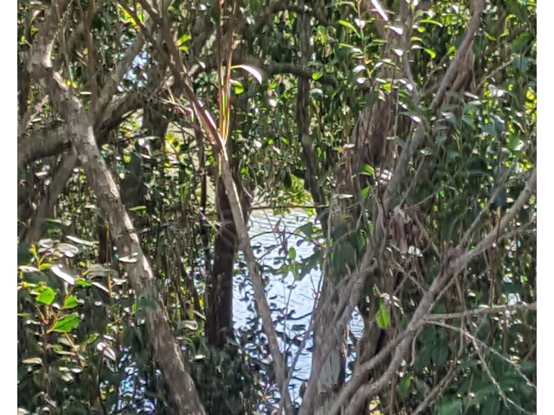 24-26 South Heath Road, Burrum River QLD 4659