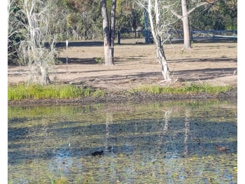 24-26 South Heath Road, Burrum River QLD 4659