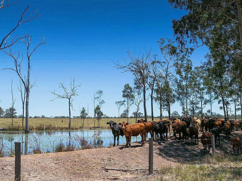 Lot 1 Grabbe Road, Burgowan QLD 4659